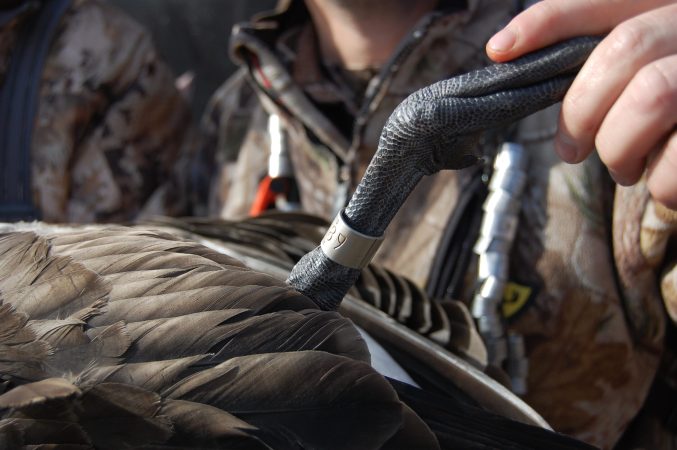 A Banded Goose Didn't Save Christmas, But It Damn Sure Helped