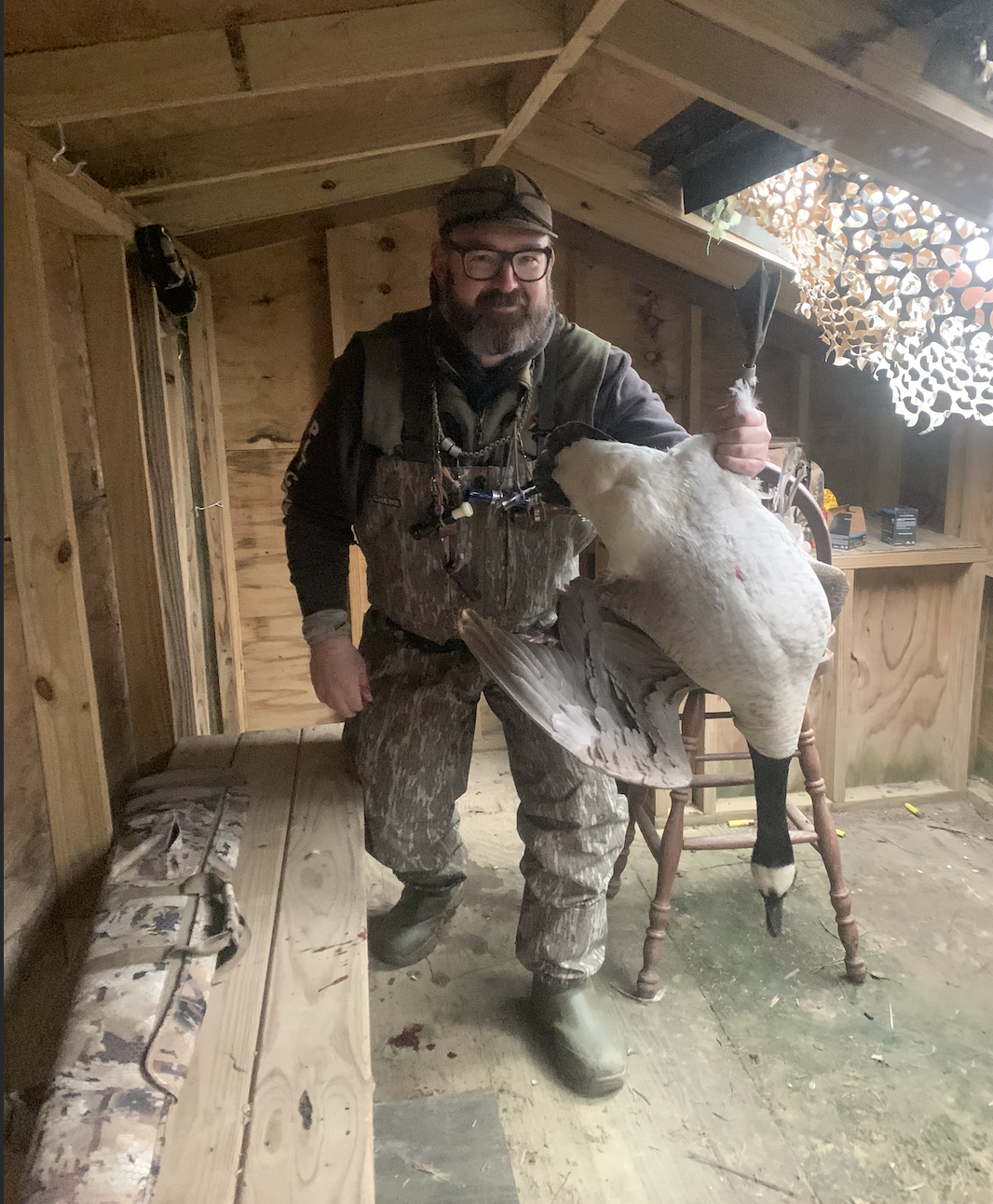 A banded goose from Canton, Illinois.