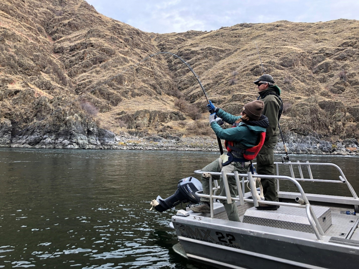 Fighting a white sturgeon in Idaho's Hell's Canyon.