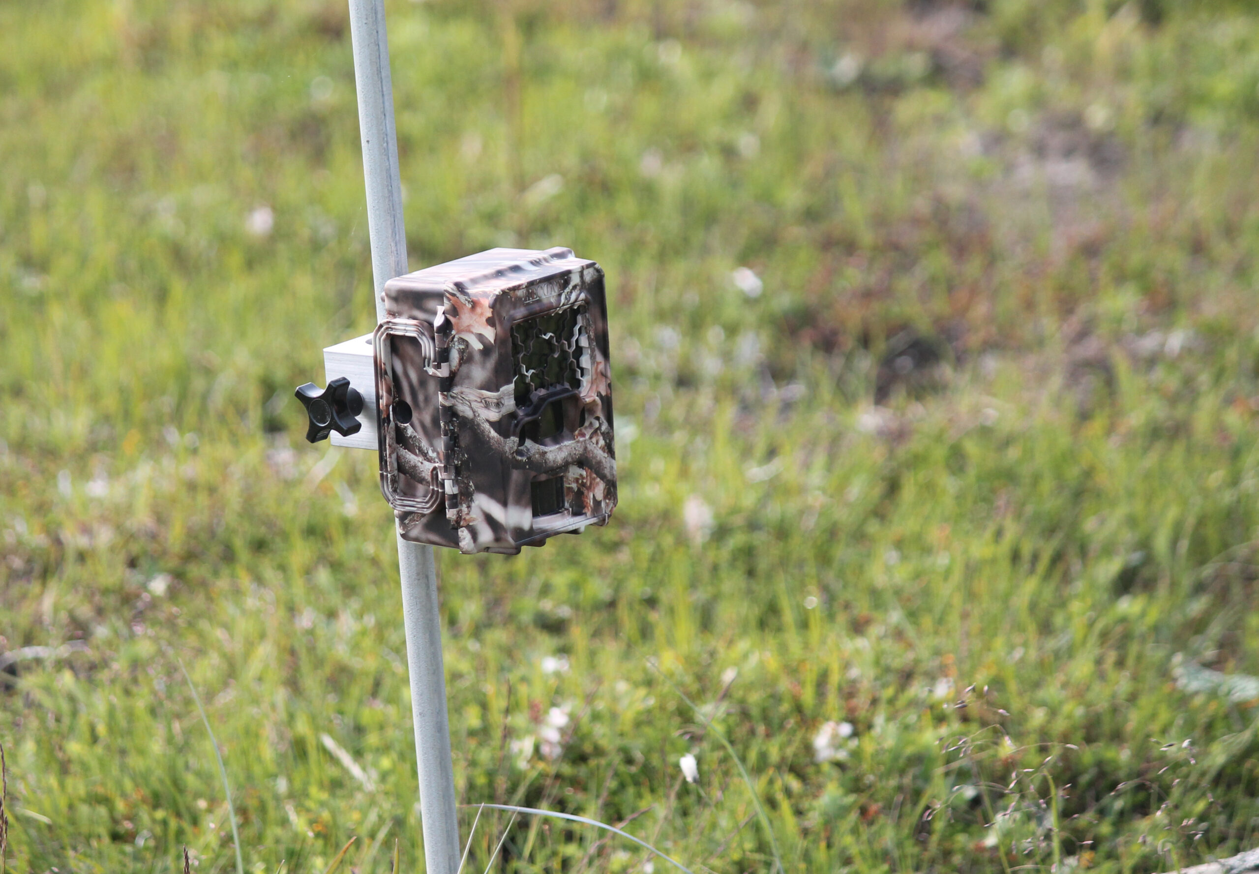 A trail camera ban is in effect in Utah for five months out of the year.