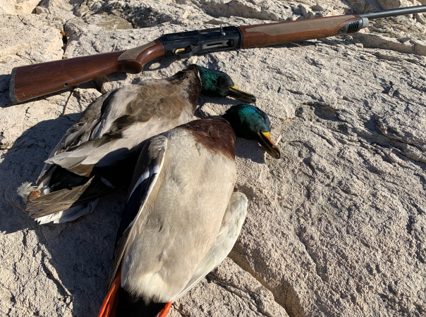It’s Time to Stop Jump-Shooting Late-Season Ducks on Public Water