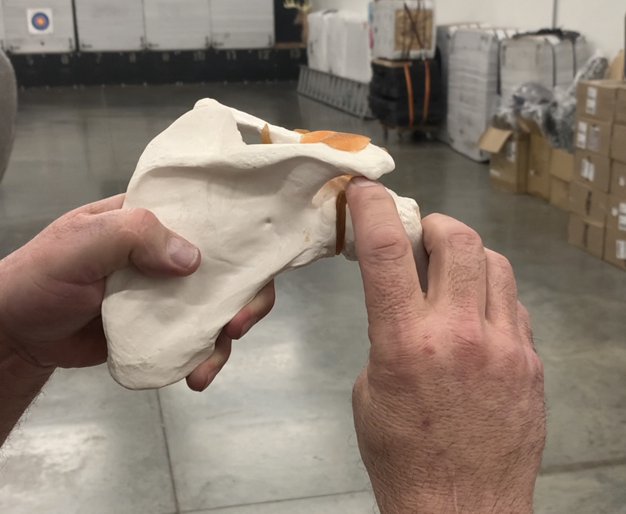 Archery Injuries Are You Destroying Your Shoulders? Outdoor Life