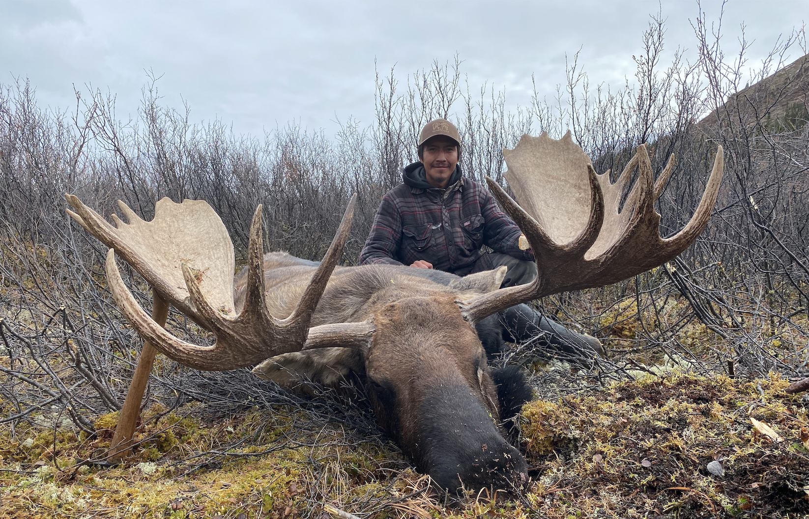 yukon moose guide