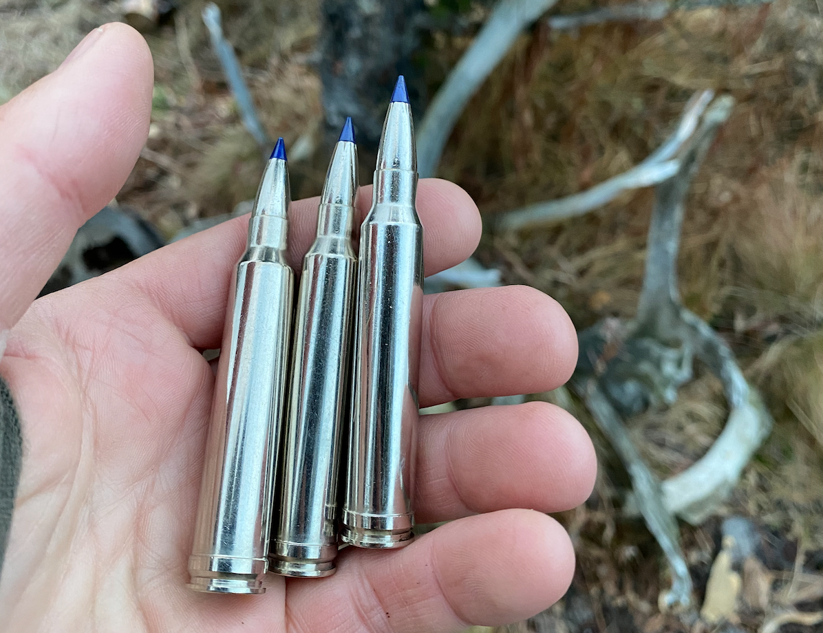 moose hunting bullets