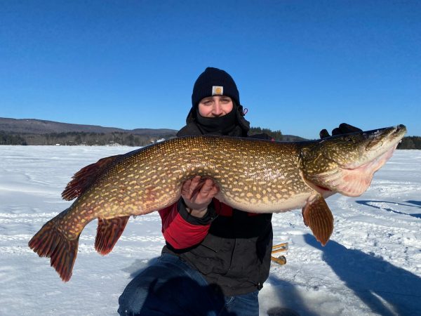 Video: Two Maine Ice Fishermen Hook into a 40-Inch Pike