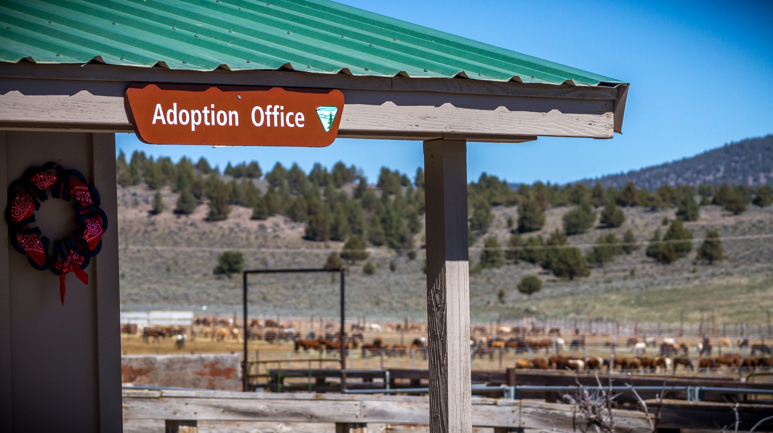 Adoption office in Hines Oregon where wild horses are kept.