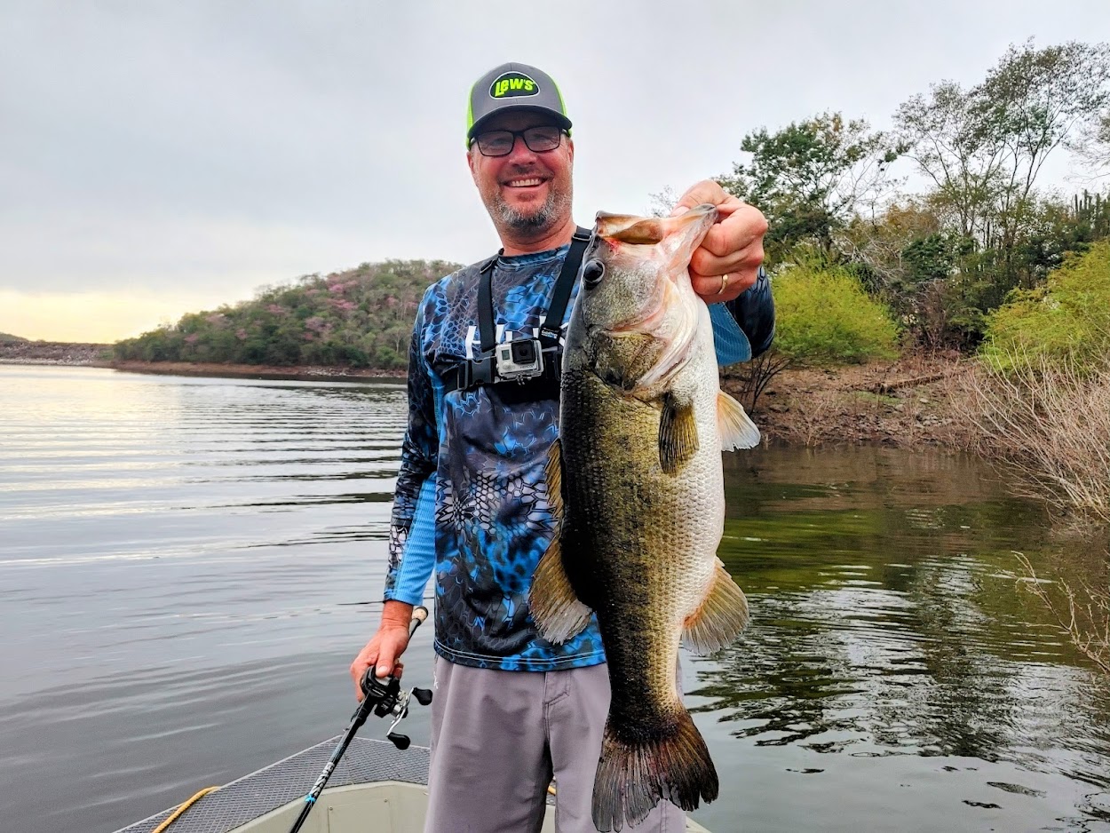 The Best Soft Plastic Baits for Bass of 2023