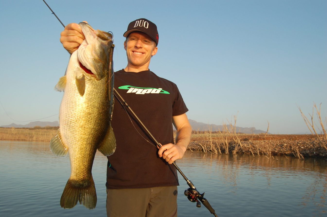 The Best Soft Plastic Baits for Bass of 2023