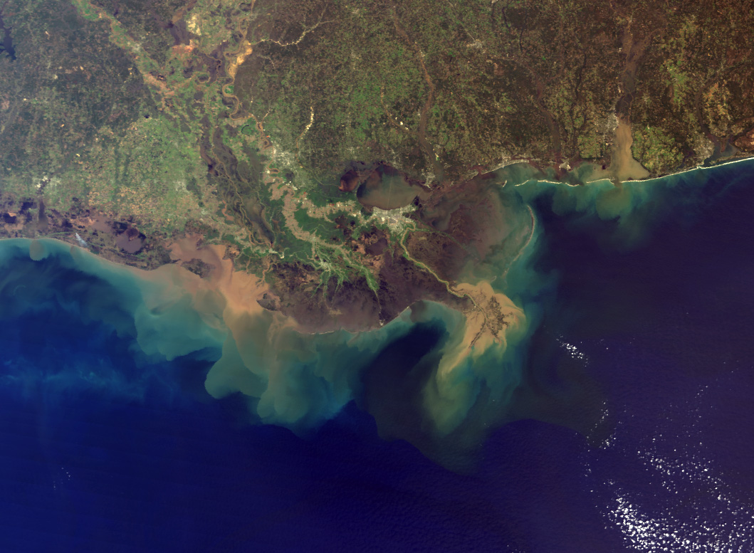mississippi delta from space