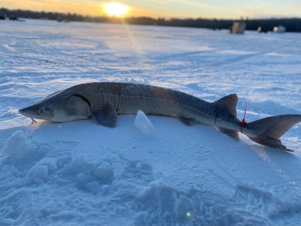 Michigan’s Shortest Fishing Season Lasted Exactly 36 Minutes This Year