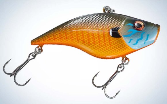 An orange and blue best lipless crankbait