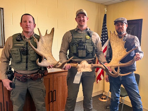 The 41-Year-Old Montana Man Who Poached This Trophy Moose Received a Lifetime Hunting Ban
