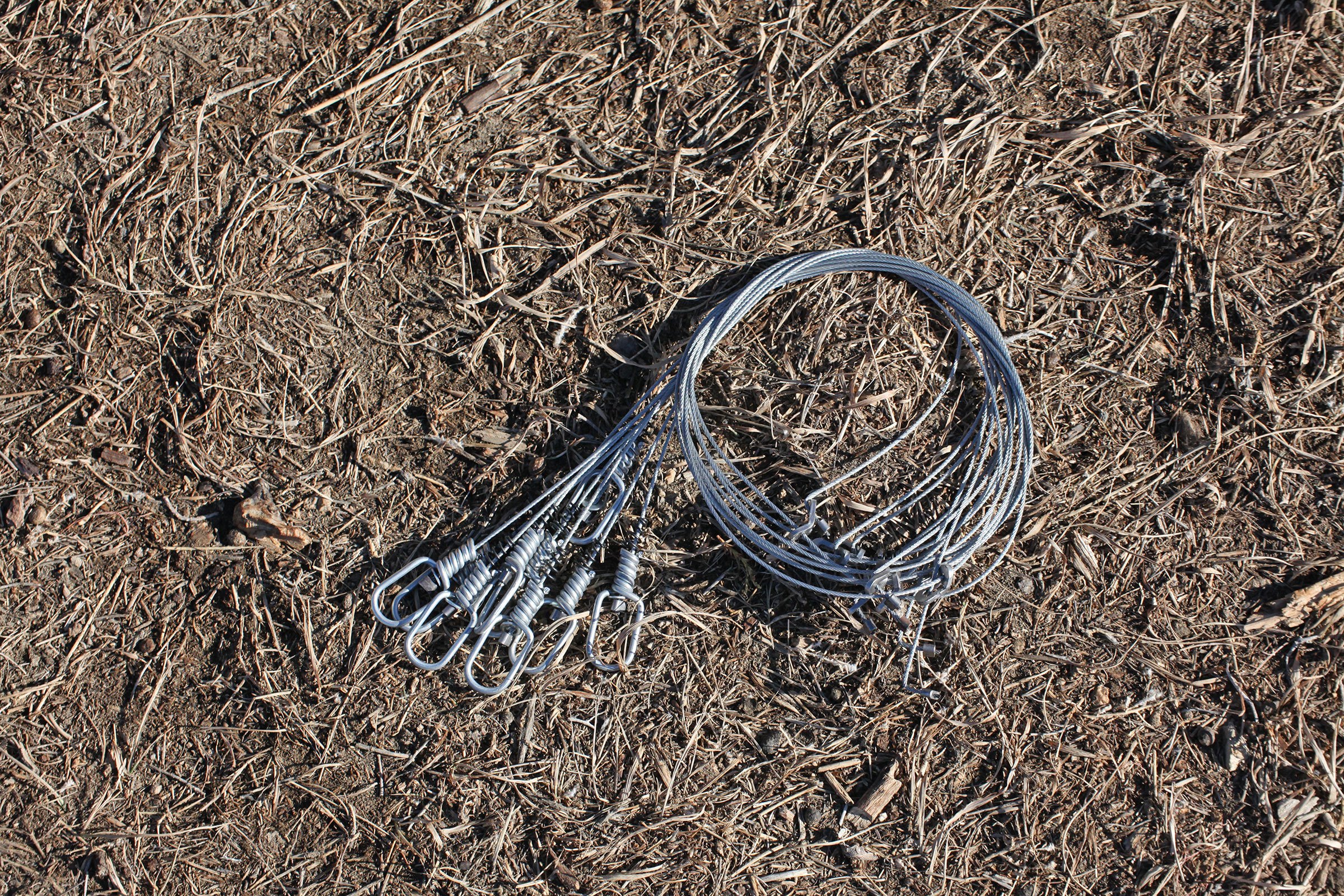 Dakota Series Coyote Snare: Fast and Proven Trap