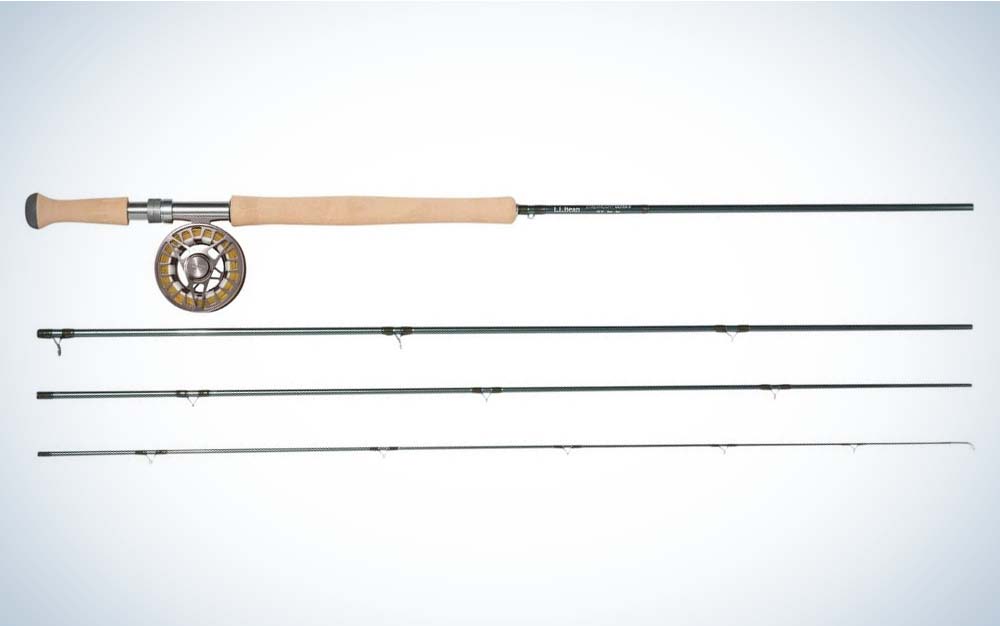 Best Fly Fishing Combos for Beginners of 2023
