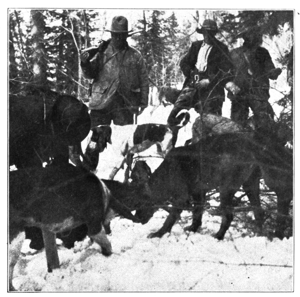 Roosevelt with a bear hunt.