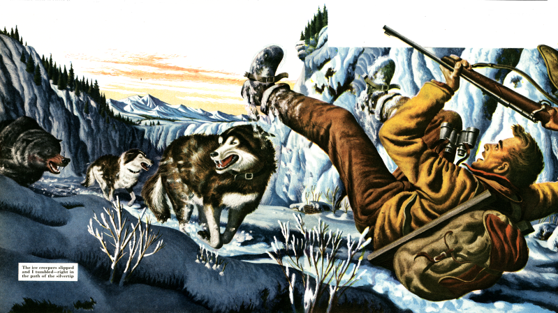 Boxed With a Bear: Frank Glaser’s Sled Dogs Fought a Giant Grizzly
