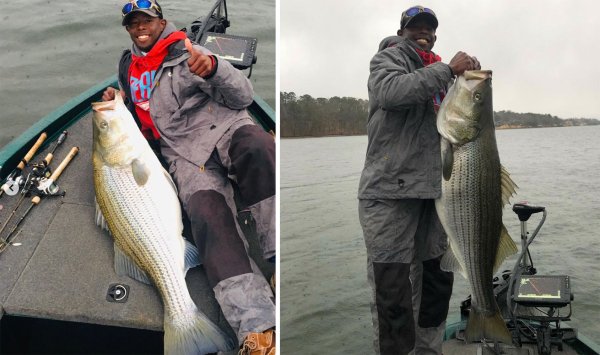 Bass Tournament Angler Catches and Releases Massive Striper in Arkansas