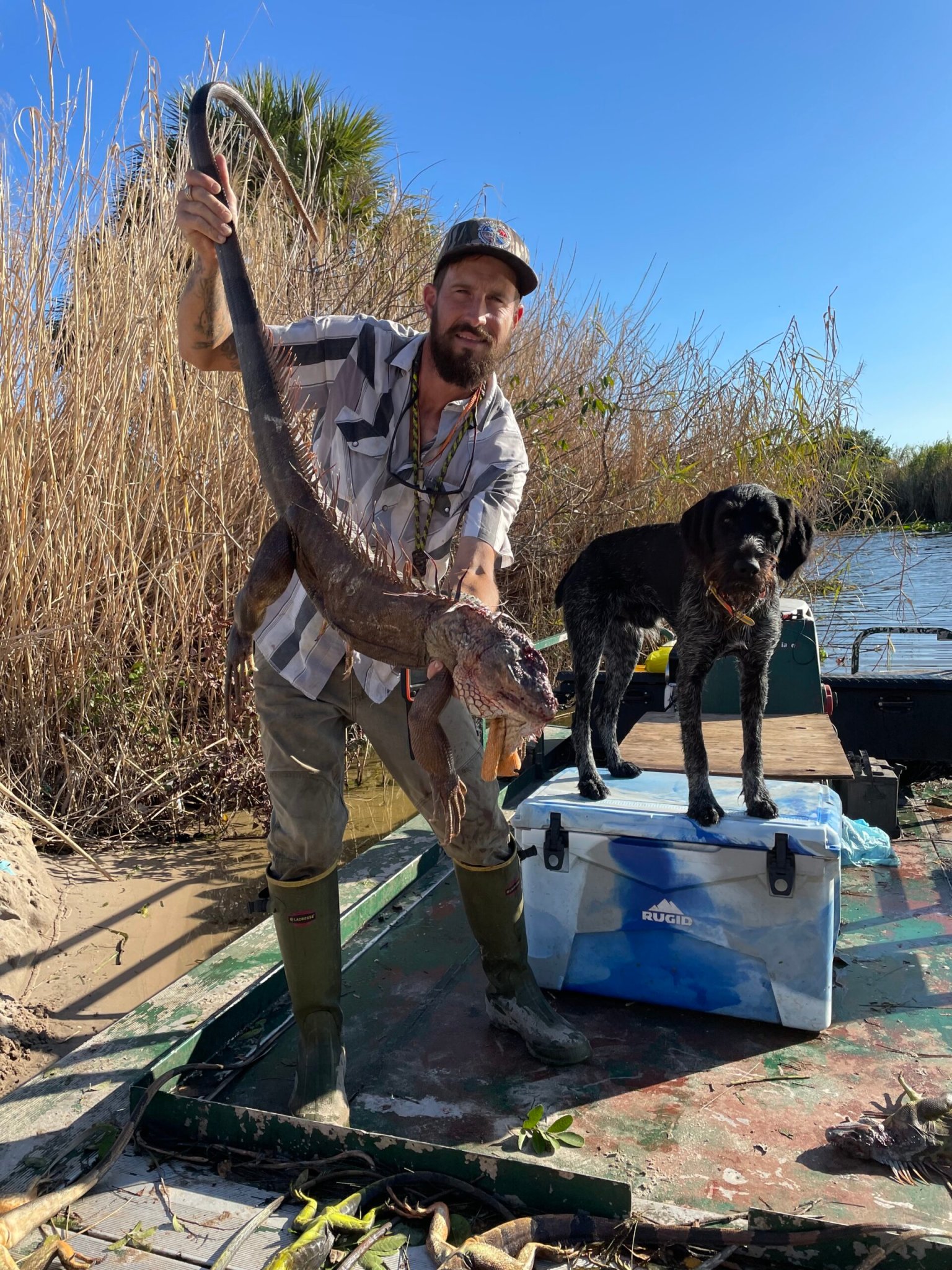 America's Most Famous Python Dog Dies Mid-Hunt. But His Bloodline Lives ...