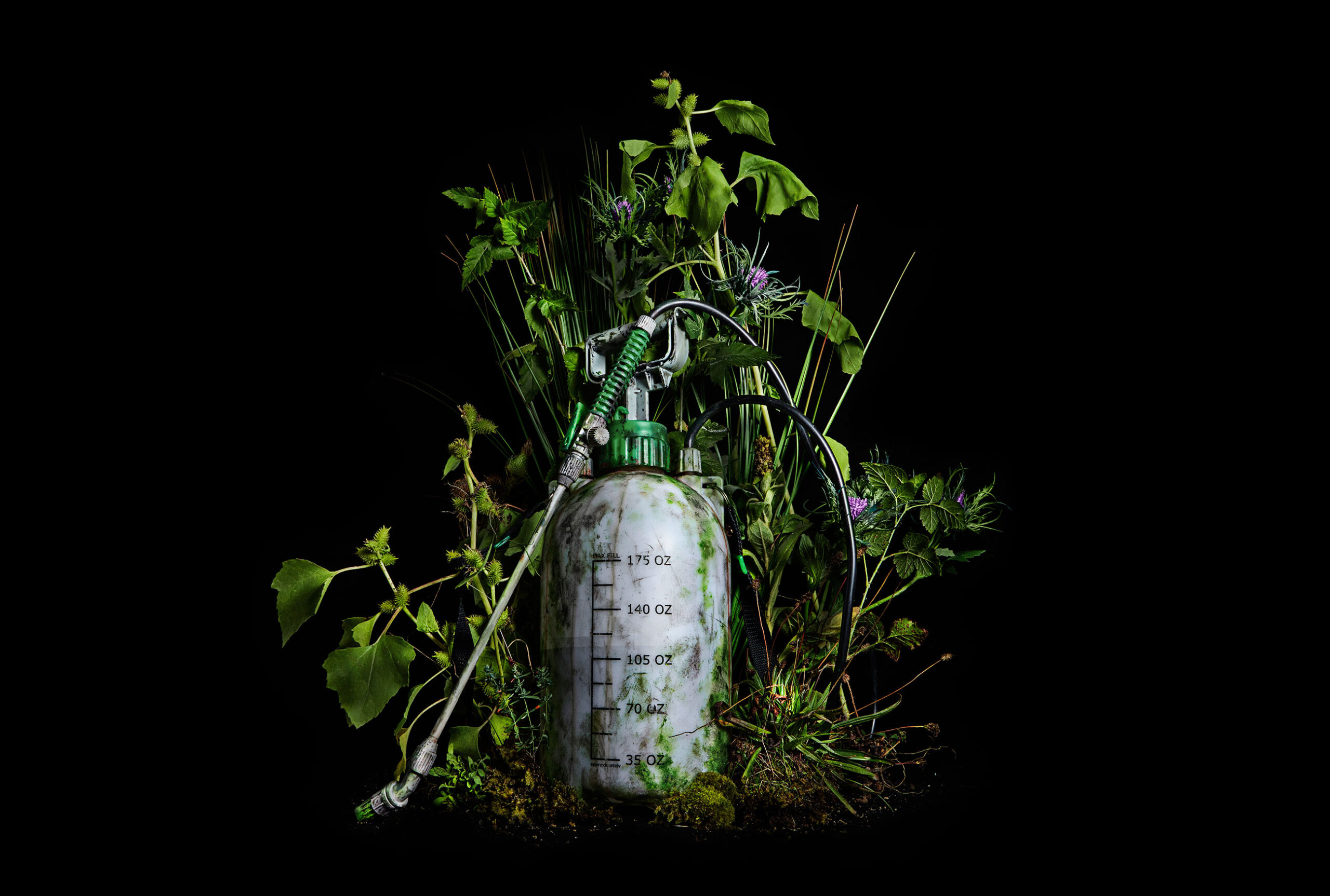 WeedKilling Chemical Used in Roundup Found in Majority of Urine Samples Outdoor Life