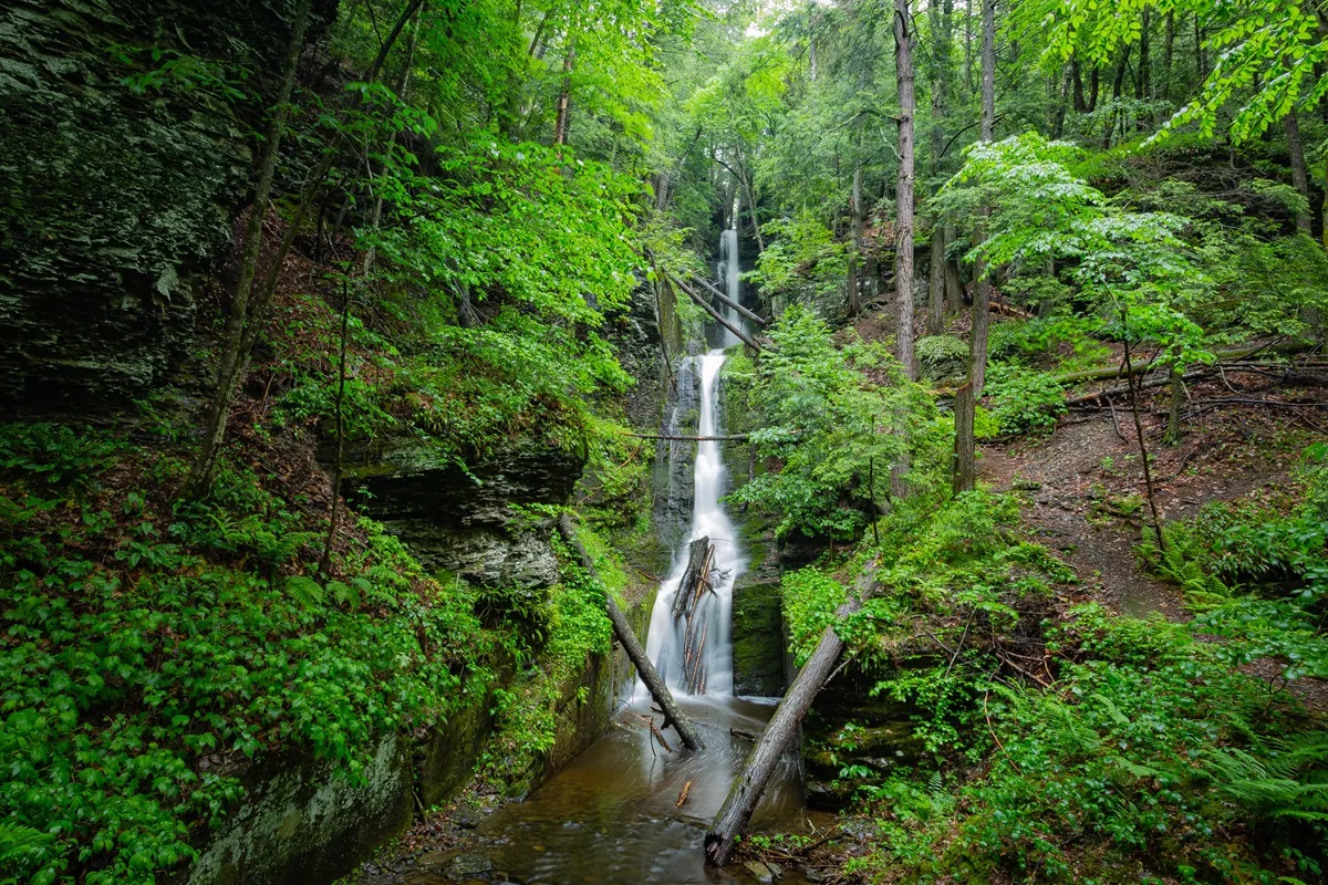 Delaware Water Gap National Recreation Area is home to waterfalls and scenic vistas, along with 40 miles of river, 100+ miles of trails, and 70,00 acres of huntable land.