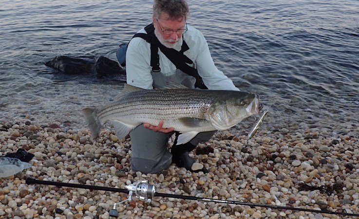 The Best Baits for Striped Bass of 2023, Tested and Reviewed
