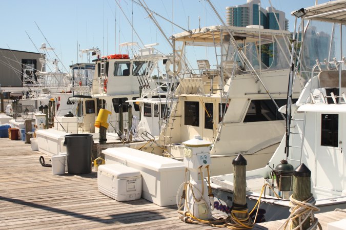 Gulf Coast Charter Captains Appeal Court Decision That Would Allow Feds to Track Their Boats