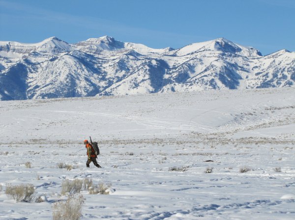 Is USFWS About to Walk Back Its Expansion of Hunting on Federal Land Because of Lead Ammo?