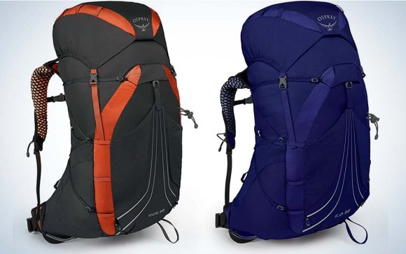 A green backpack and blue backpack