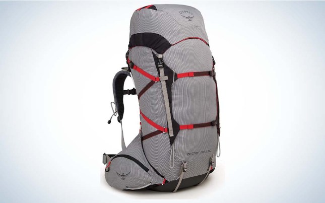 A grey best backpack