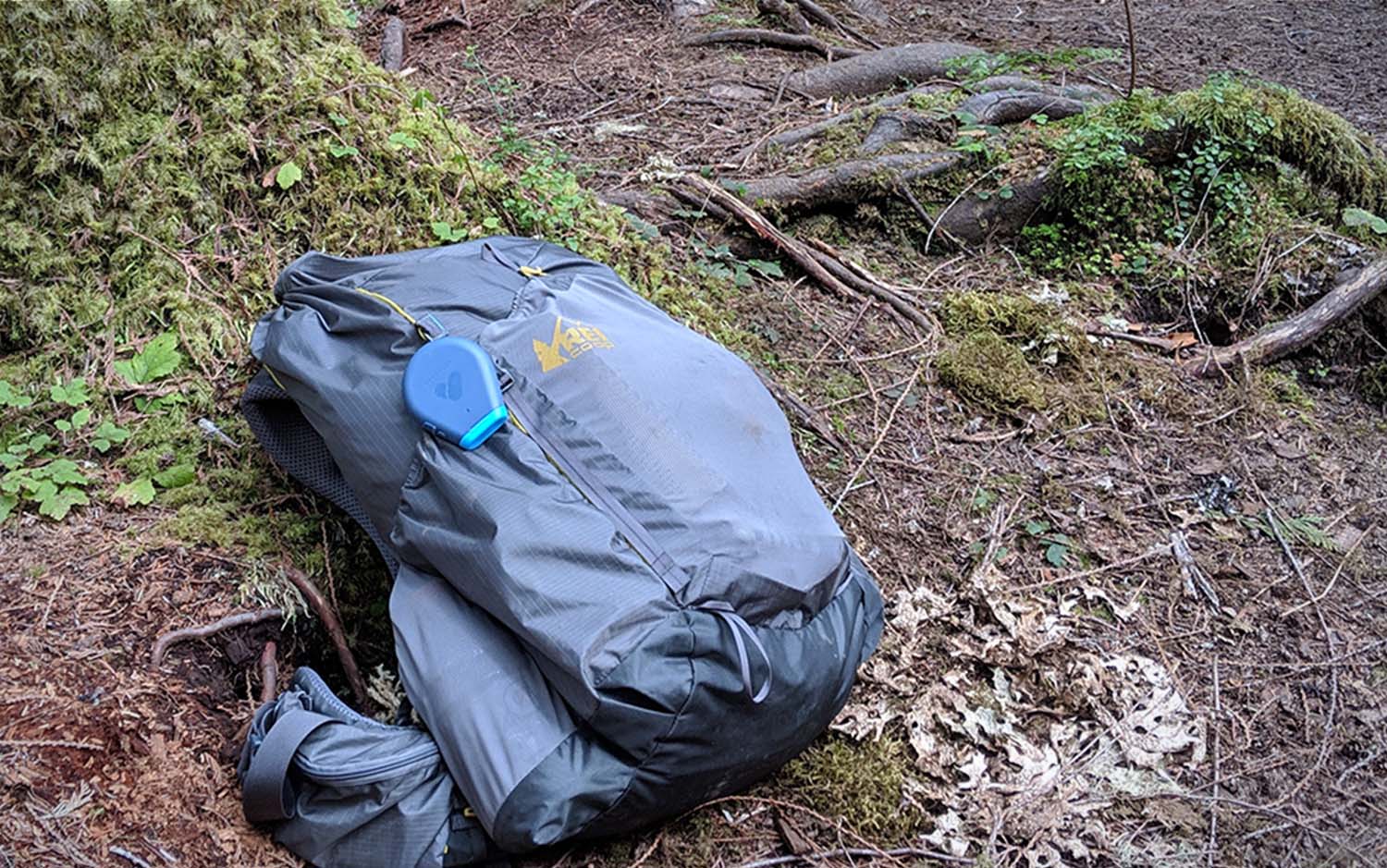 A blue best backpack sitting on moss and dirt