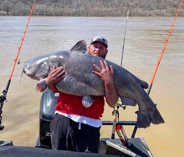 Two Kentucky Anglers Pull a Massive, 94-Pound Blue Cat Out of the Ohio River