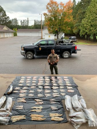 Minnesota Walleye Poacher Busted with 10 Times the Legal Limit, Warden Says He Kept Them to Serve During Vikings Games