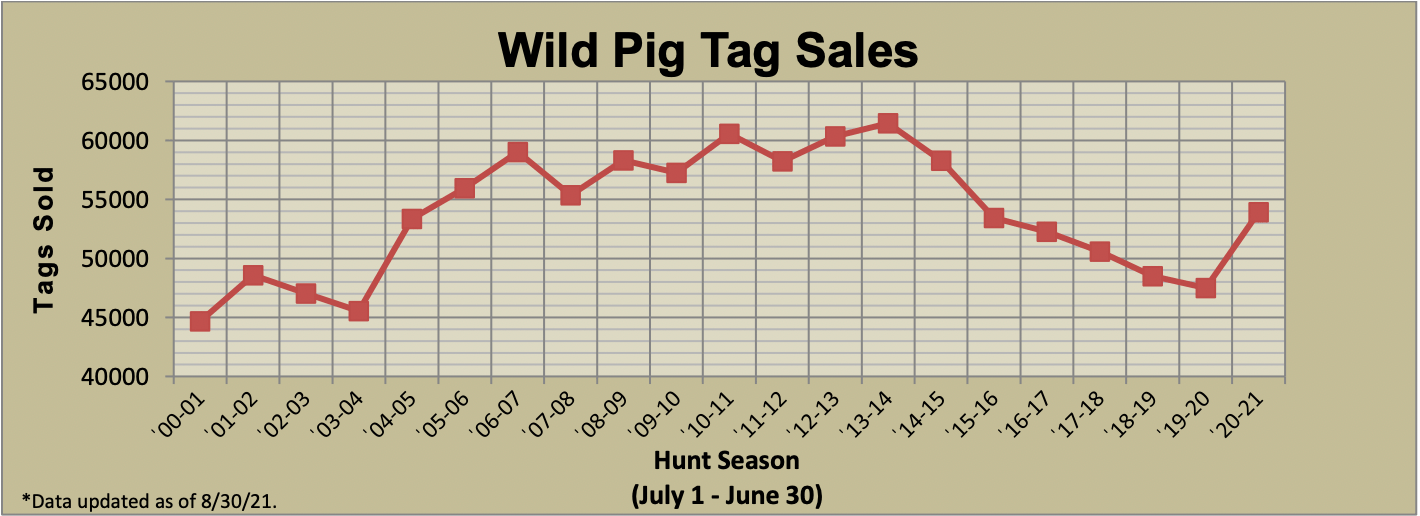 wild pig tag sales