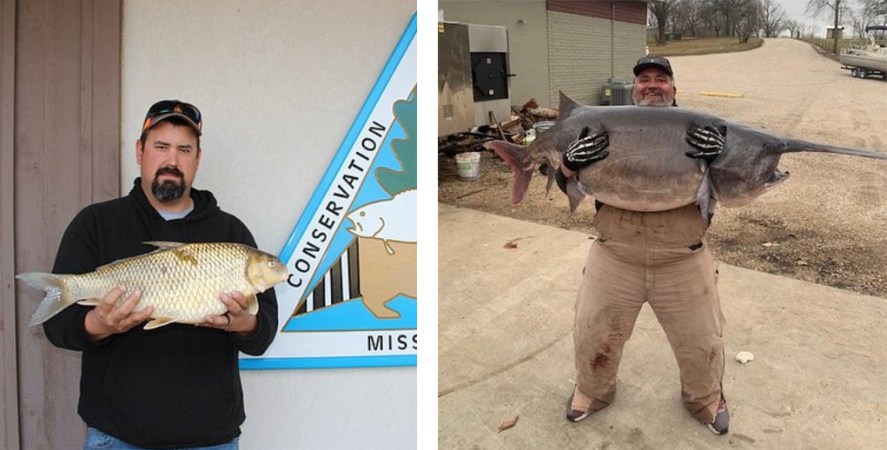 Missouri Just Confirmed This Quillback and 114-Pound Paddlefish as the First State-Record Fish of the Year