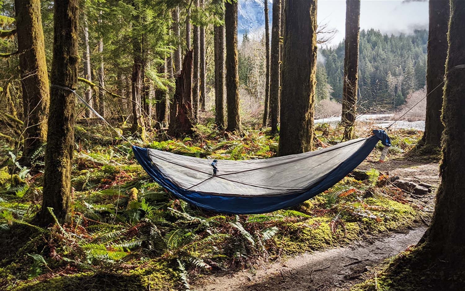 A white and blue best camping hammock hanging in the woods