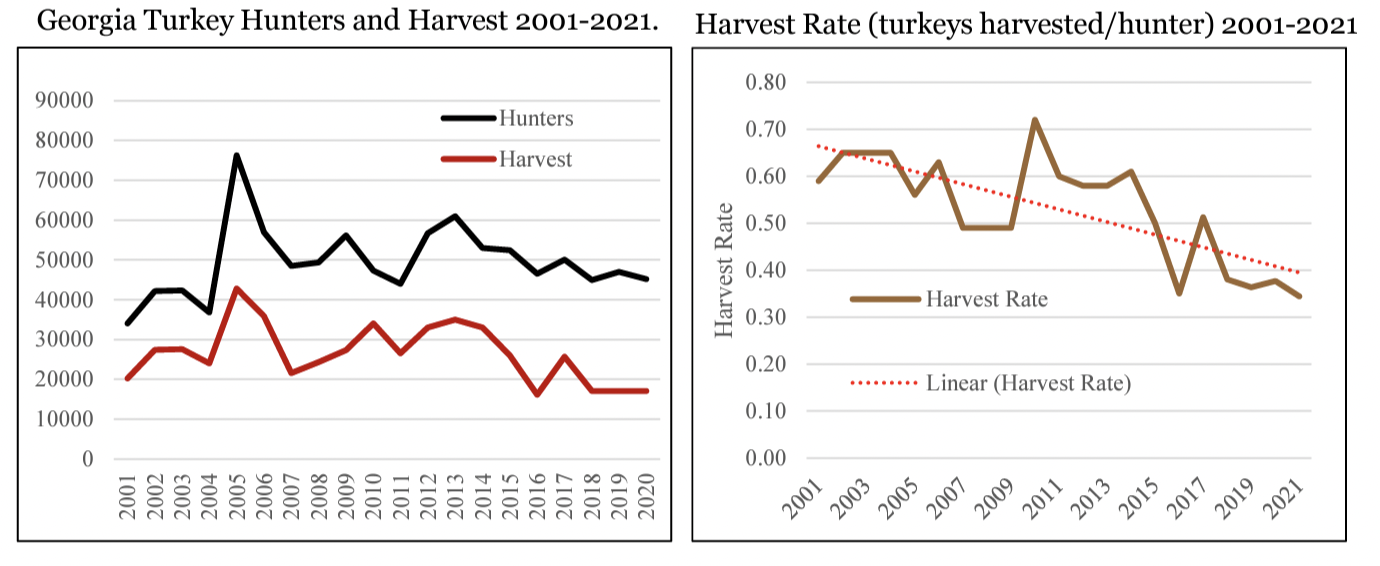 Turkey harvest rates have been decreasing in Georgia.