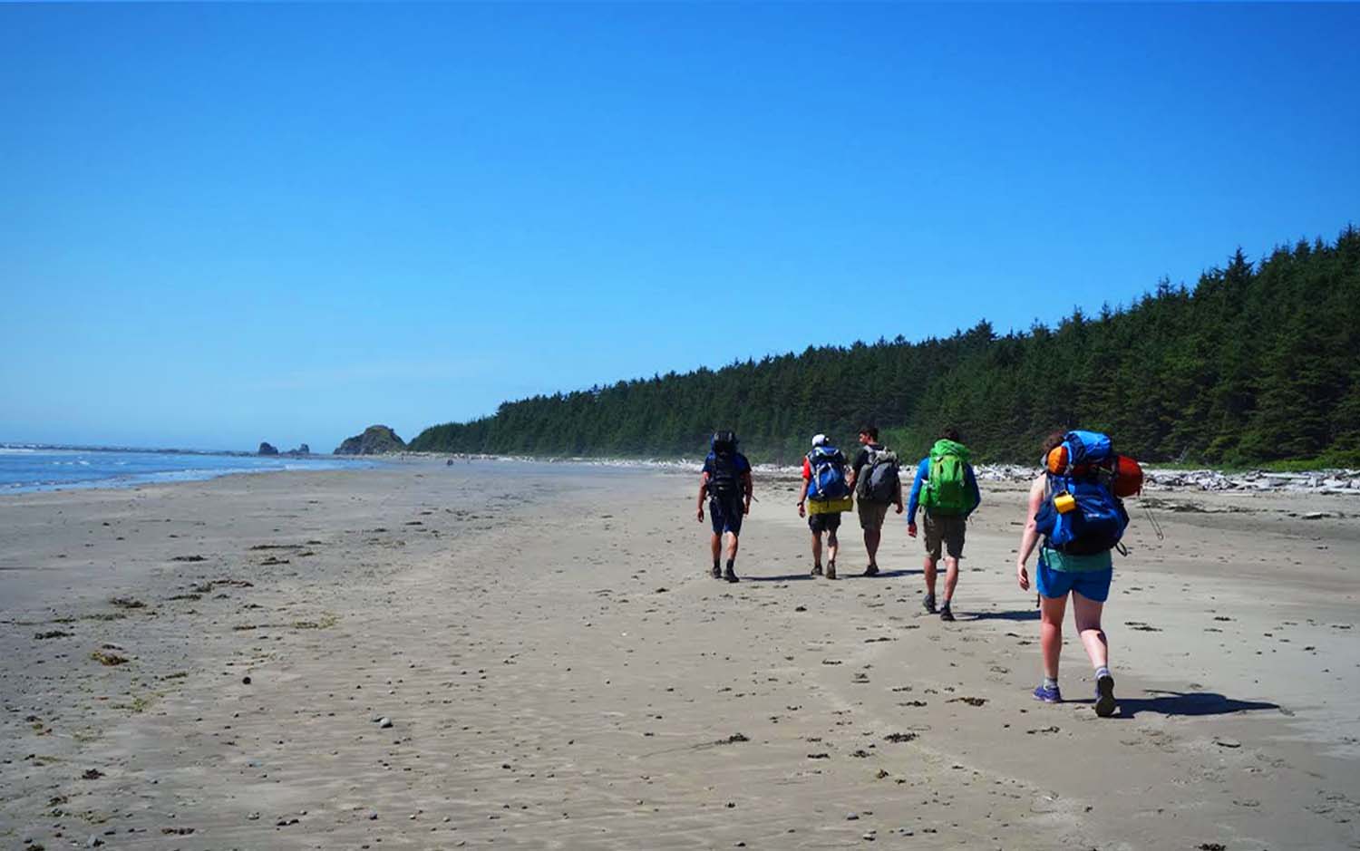 A group of backpackers walking on the beach