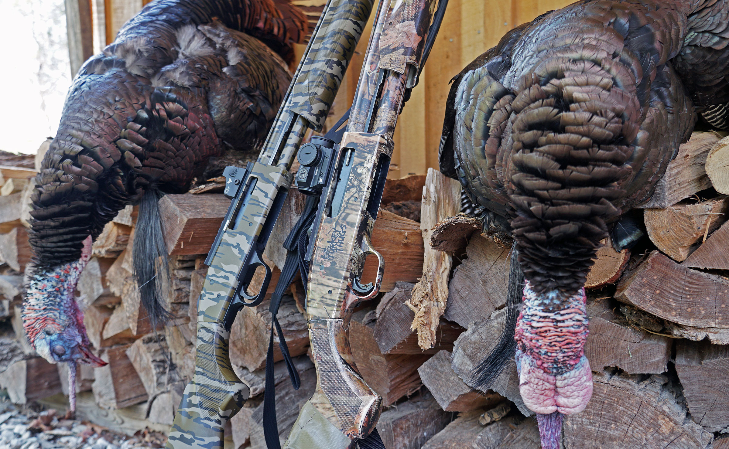 Turkey Gear on Sale at Cabela's Shotguns, Blinds, Decoys, Red Dots, and More Outdoor Life