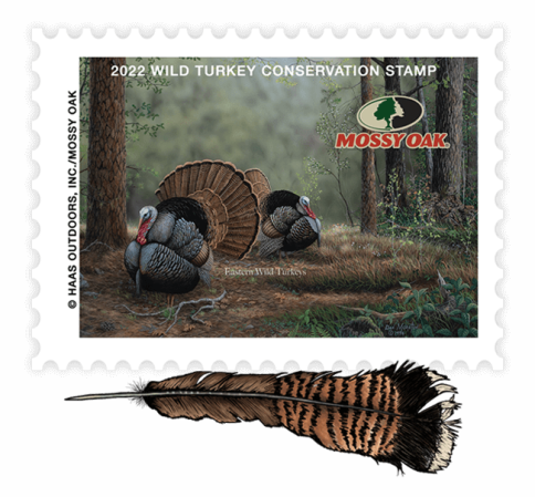 Mossy Oak's Wild Turkey Conservation Stamp Raises $20K in the First 24 Hours
