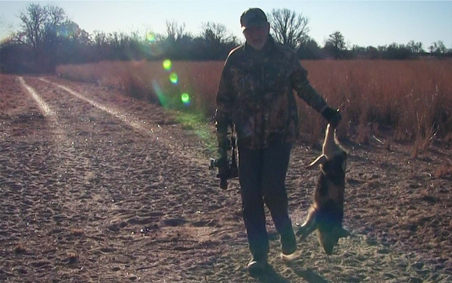 A man in the field carrying a hog he shot