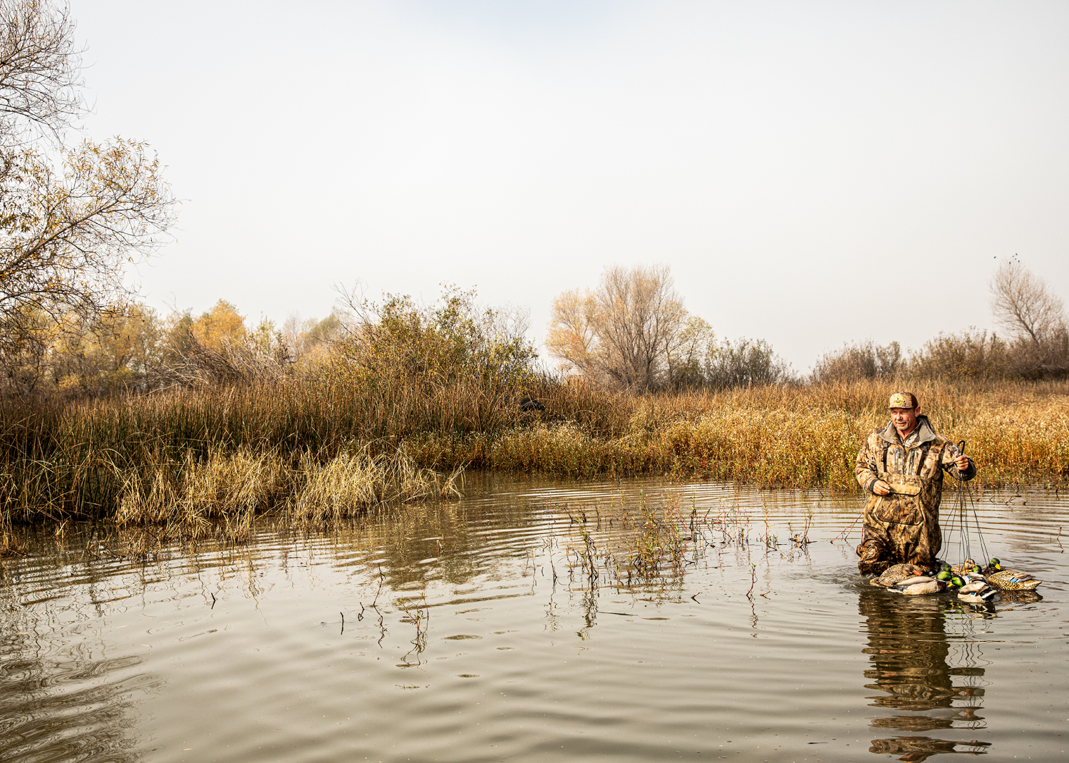 Hunter collects duck decoys in a flooded marsh