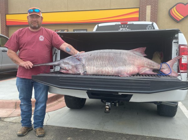 Tennessee Angler Snags a 120-Pound Paddlefish, and the New State Record