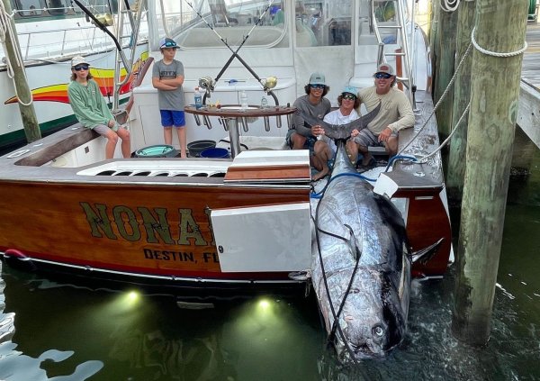 Behemoth Bluefin Tuna Caught Off Florida Coast Could Be a New State Record