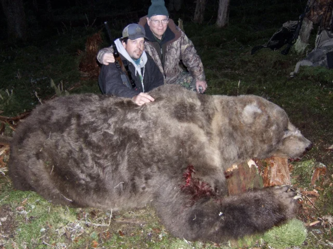 A big brown bear taken in Alaska.