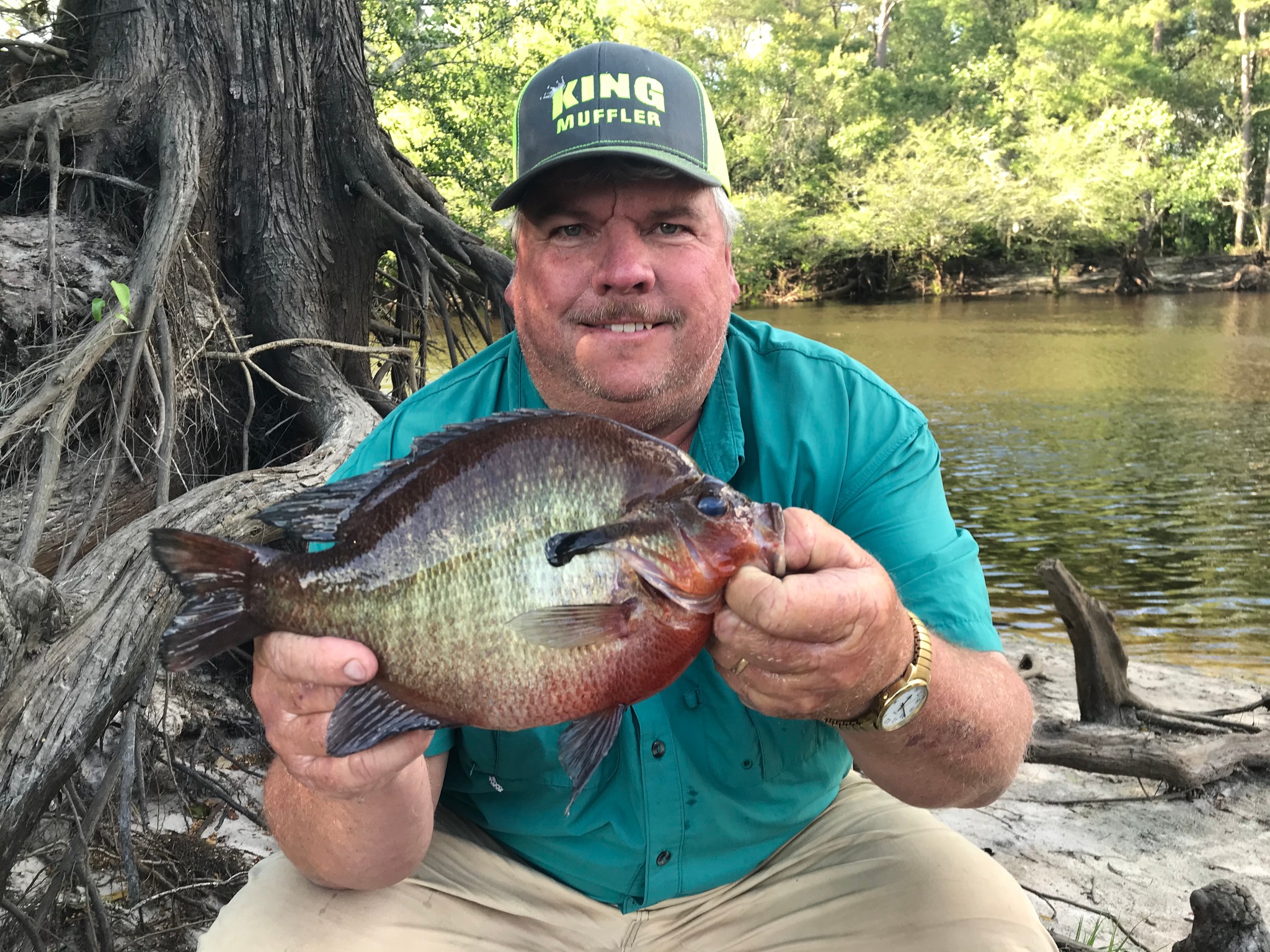 The 1 pound 12 ounce IGFA redbreast caught by Lester Roberts