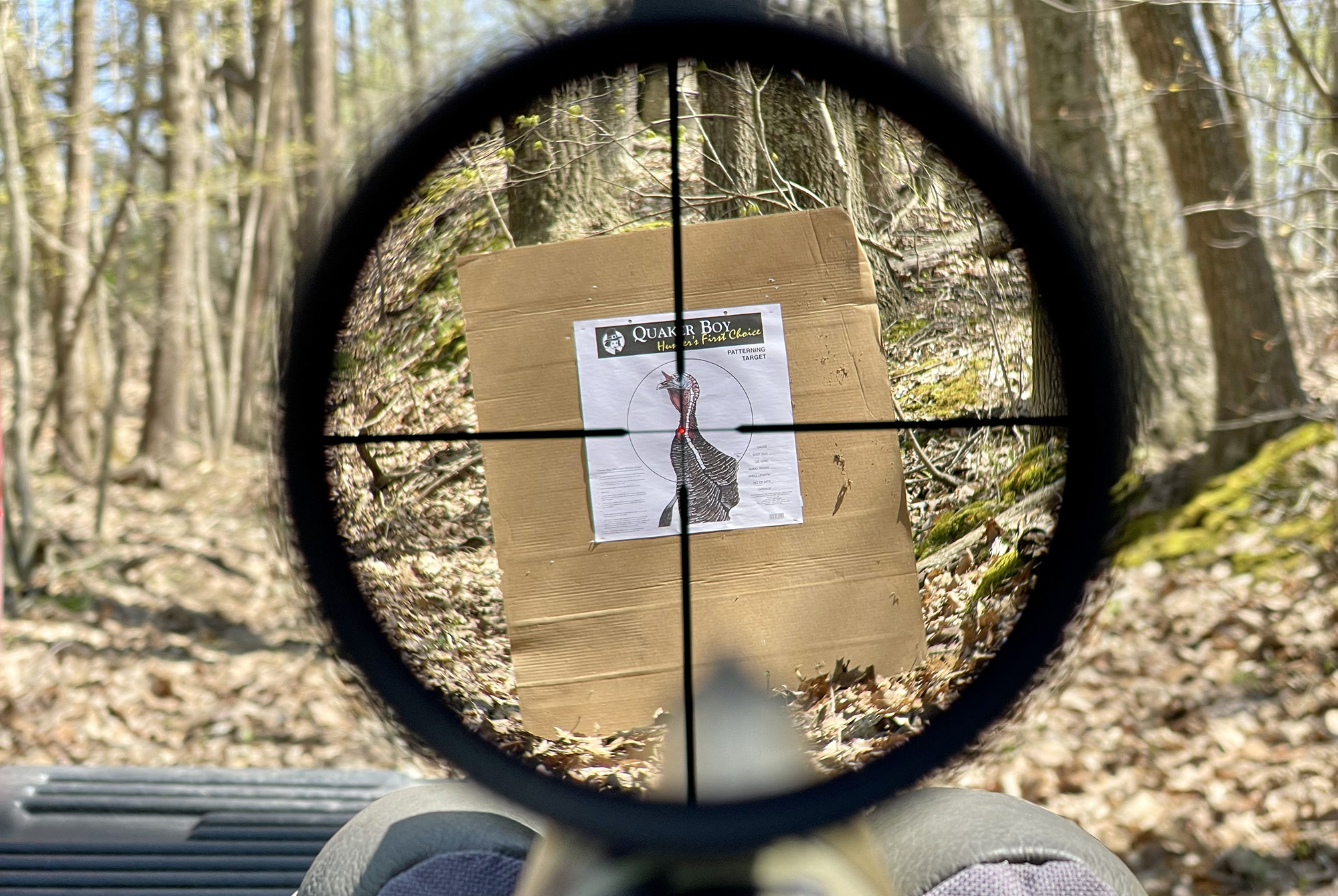 The Best Sights for Turkey Shotguns Scopes vs. Red Dots vs. Open