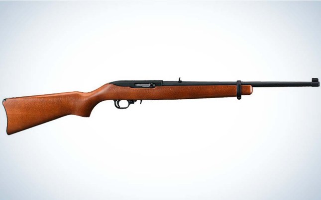 The Ruger 10/22 may be decades old, but it's probably even more popular now than ever.