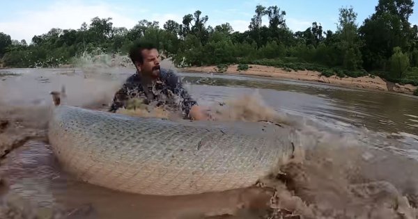 Watch This Texas Man Catch a 8-Foot, 300-Pound Alligator Gar That Could’ve Been the World Record