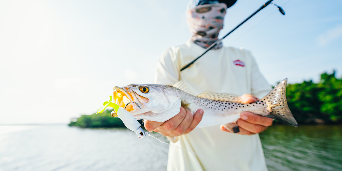 Best Speckled Trout Lures of 2024