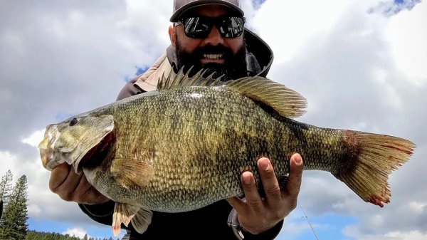 Idaho Fishing Guide Catches and Releases New State-Record Smallmouth Bass